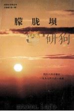 朦胧坝 西南卷 全辑10册 第1辑 1997 PDF电子版封面 7220036337 李世权著