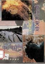 中国:世纪大灾变 1993 PDF电子版封面 7220021623 朱幼棣著