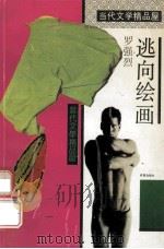 逃向绘画 1993 PDF电子版封面 7805755329 罗强烈著