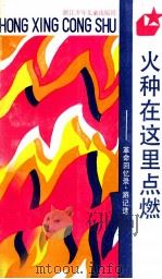 火种在这里点燃 革命回忆录 游记选 1990 PDF电子版封面 7534205948 叶涵编