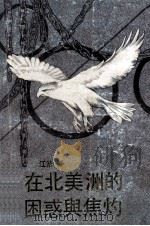 在北美洲的困惑与焦灼 1991 PDF电子版封面 7805211779 江浩著