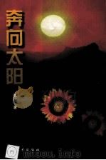 奔向太阳 1997 PDF电子版封面 7800943240 昊柏著