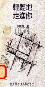 轻轻地走进你 1992 PDF电子版封面 7540709475 张晓林著