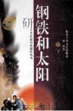 钢铁和太阳 上下 下 1996 PDF电子版封面 7530204602 郝敏著