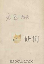 龙飞九天 中 1989 PDF电子版封面 7221006946 卧龙生著