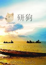 造纸过程中的界面动电现象（1984 PDF版）
