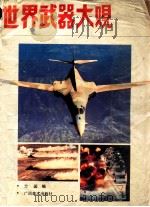 世界武器大观 画册 1991 PDF电子版封面 7805822212 方园编