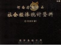 河南省通许县社会经济统计资料 1990年 1991 PDF电子版封面 通许县统计局编