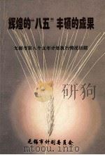 辉煌的“八五”丰硕的成果 无锡市第八个五年计划执行情况回顾 1995 PDF电子版封面 贡培兴,徐暨安,倪惠国等编审
