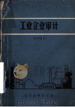 工业企业审计（ PDF版）