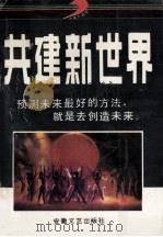 共建新世纪 1993 PDF电子版封面 7539611421 林冰编译