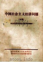 中国社会主义经济问题  （初稿）（ PDF版）