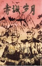 赤诚岁月（ PDF版）
