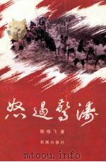 怒遏惊涛 1997 PDF电子版封面 7536025254 陈修飞著
