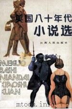 美国八十年代小说选 1987 PDF电子版封面 10110520 宋兆霖编