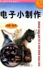 电子小制作 1997 PDF电子版封面 7800768716 洪峰编著