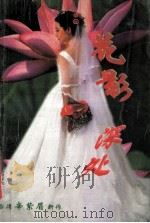 花影深处 1996 PDF电子版封面 7539613685 辛紫眉著