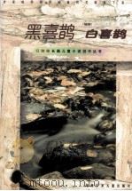 黑喜鹊 白喜鹊 1998 PDF电子版封面 7535816355 陶永灿著
