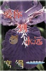 爱你到永远 1996 PDF电子版封面 7539909706 席绢著