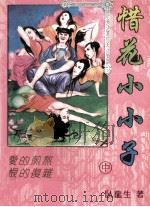 惜花小小子  中（ PDF版）