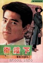 街灯 下 1993 PDF电子版封面 7504320633 岑凯伦著
