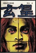 玄皇 1994 PDF电子版封面 7531312530 平凸著