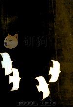 爱之路 1991 PDF电子版封面 7538703489 孙玺著