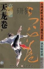 天龙卷 下 1994 PDF电子版封面 7539906448 高庸著