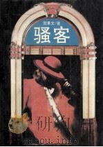 骚客 1995 PDF电子版封面 7538709304 贺景文著