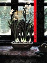 水彩静物画教程 1993 PDF电子版封面 7535606180 朱辉著