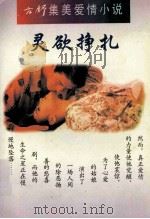 灵欲挣扎 1995 PDF电子版封面 7225011103 方舒著