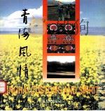青海风情   1999  PDF电子版封面  722501675X  辛光武，张卫疆文字撰稿；马永波英文翻译 