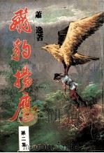 飞豹扬鹰 第2集 PDF电子版封面 萧逸著