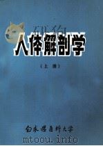 人体解剖学 上 1982 PDF电子版封面 王根本主编
