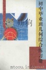 初中毕业班几何综合练习册 1995 PDF电子版封面 7534315417 初中毕业班几何综合练习册编写组编