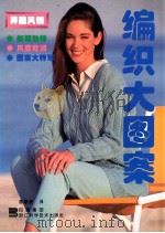 编织大图案 异国风情 1996 PDF电子版封面 7534109647 李康康译