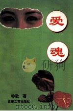爱魂 1997 PDF电子版封面 7805874255 咏歌著