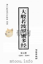 大般若波罗密多经  第5册  卷303-卷380（ PDF版）