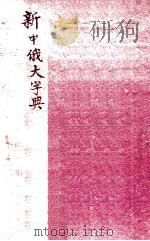 新中俄大字典   1930  PDF电子版封面    路大和等编译 