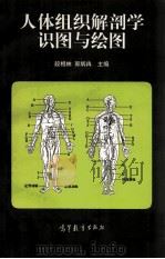 人体组织解剖学识图与绘图 1997 PDF电子版封面 7040060124 段相林,郭炳冉主编;白文忠,杨天祝,徐文香副主编