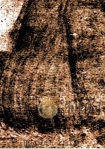 素描自学教程 1991 PDF电子版封面 7536802773 李敦祥编著