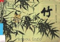 竹 1983 PDF电子版封面 8191243 丁茂鲁编