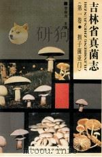 吉林省真菌志 第1卷 担子菌亚门 1991 PDF电子版封面 7560203868 李如光主编;赵大明,王翠婷,杨成录副主编