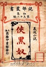 侠黑奴 义侠小说 1913 PDF电子版封面 (日)尾崎德太郎著;吴梼译述