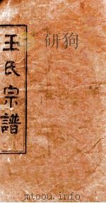 王氏宗谱  总本（ PDF版）