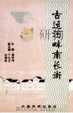 古运河畔南长街 1997 PDF电子版封面 7800749991 浦学坤主编;丁大卫,沈锡良副主编
