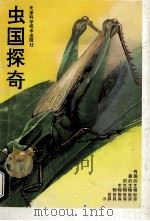 虫国探奇 1994 PDF电子版封面 7530815458 柳仲康编著