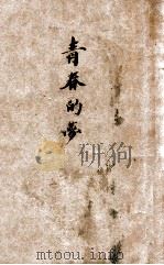 青春的梦 1924 PDF电子版封面 张闻天著