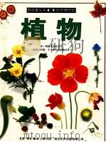 植物 1995 PDF电子版封面 7108008084 大卫·柏尼著;姜庆尧译