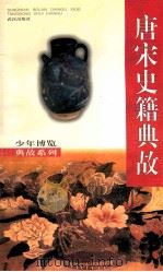 唐宋史籍典故 1998 PDF电子版封面 7543018357 梅忠泽编著
